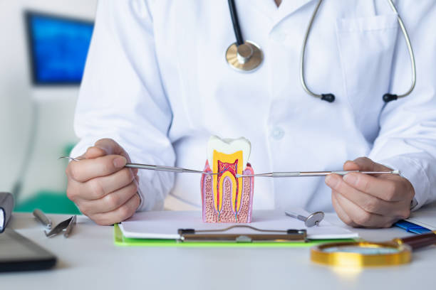 Best Emergency Dental Extractions in San Castle, FL